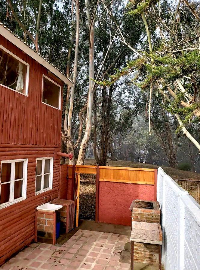 Cabana Con Tinaja Caliente, Quincho Y Pet Friendly Isla Negra Exteriér fotografie